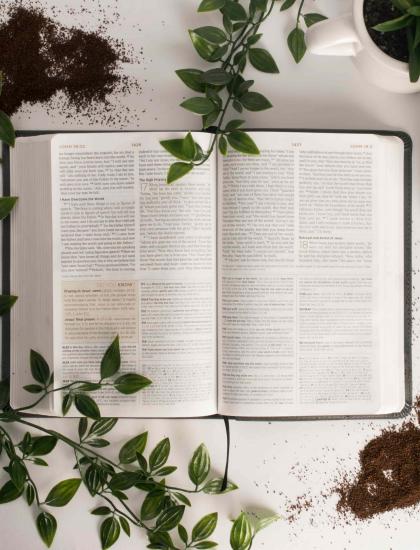 book with plants