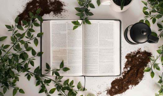 book with plants